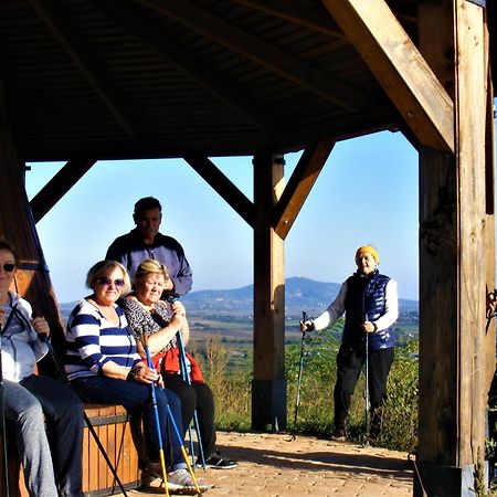 Tokaj Hill Panorama Guesthouse Szerencs Luaran gambar