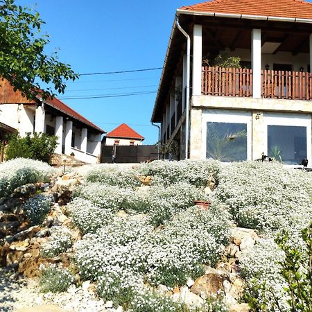Tokaj Hill Panorama Guesthouse Szerencs Luaran gambar