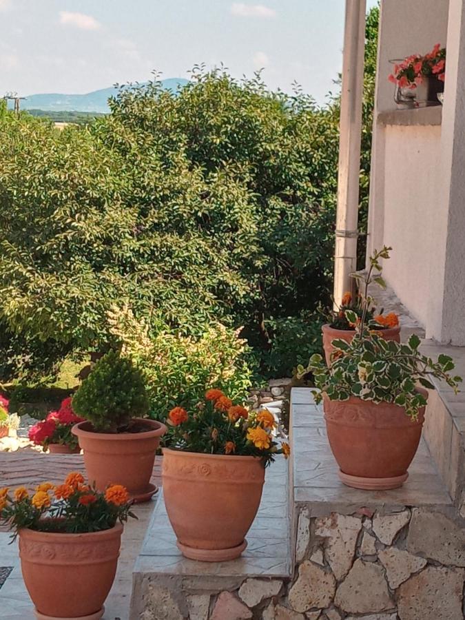Tokaj Hill Panorama Guesthouse Szerencs Luaran gambar
