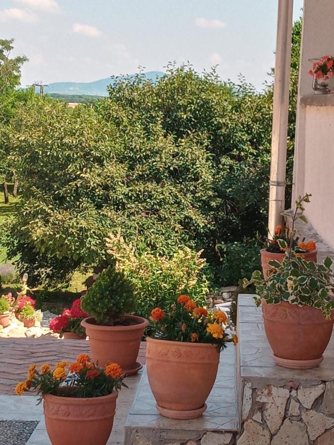 Tokaj Hill Panorama Guesthouse Szerencs Luaran gambar