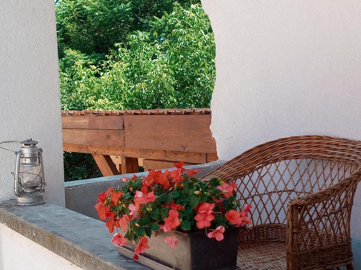 Tokaj Hill Panorama Guesthouse Szerencs Luaran gambar