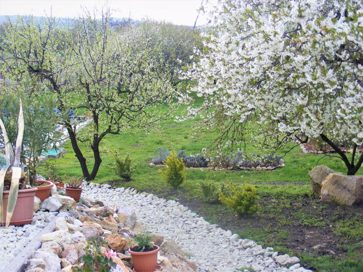 Tokaj Hill Panorama Guesthouse Szerencs Luaran gambar