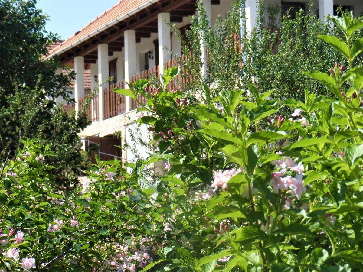 Tokaj Hill Panorama Guesthouse Szerencs Luaran gambar