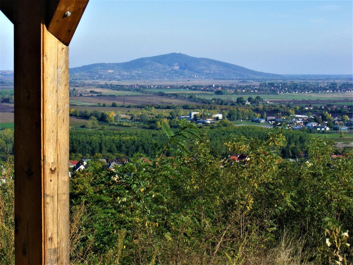 Tokaj Hill Panorama Guesthouse Szerencs Luaran gambar