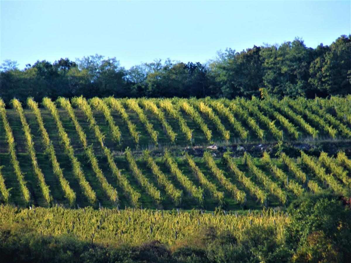 Tokaj Hill Panorama Guesthouse Szerencs Luaran gambar