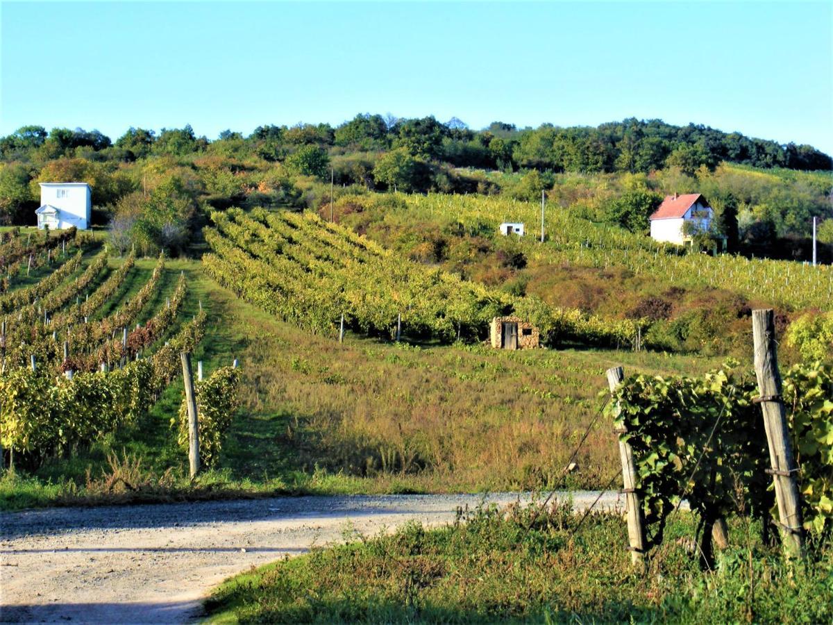 Tokaj Hill Panorama Guesthouse Szerencs Luaran gambar