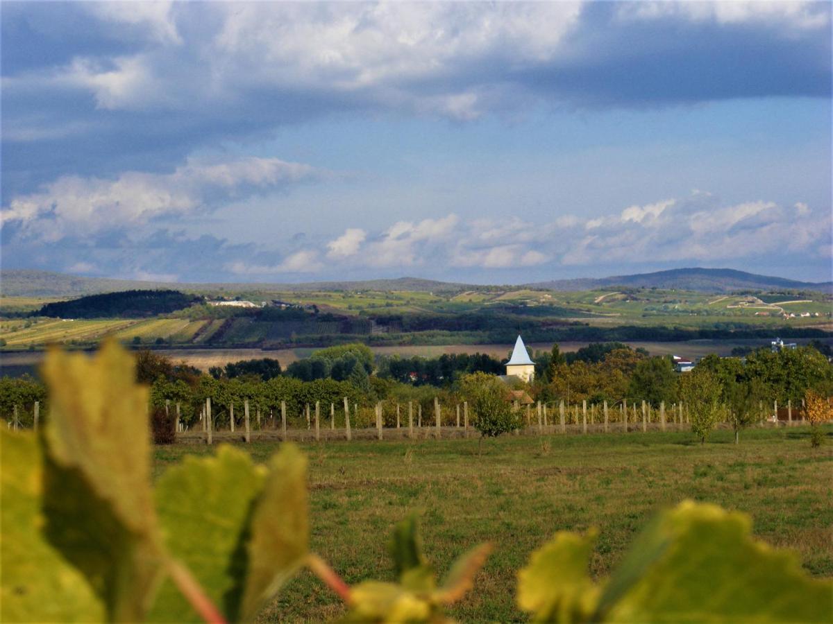 Tokaj Hill Panorama Guesthouse Szerencs Luaran gambar