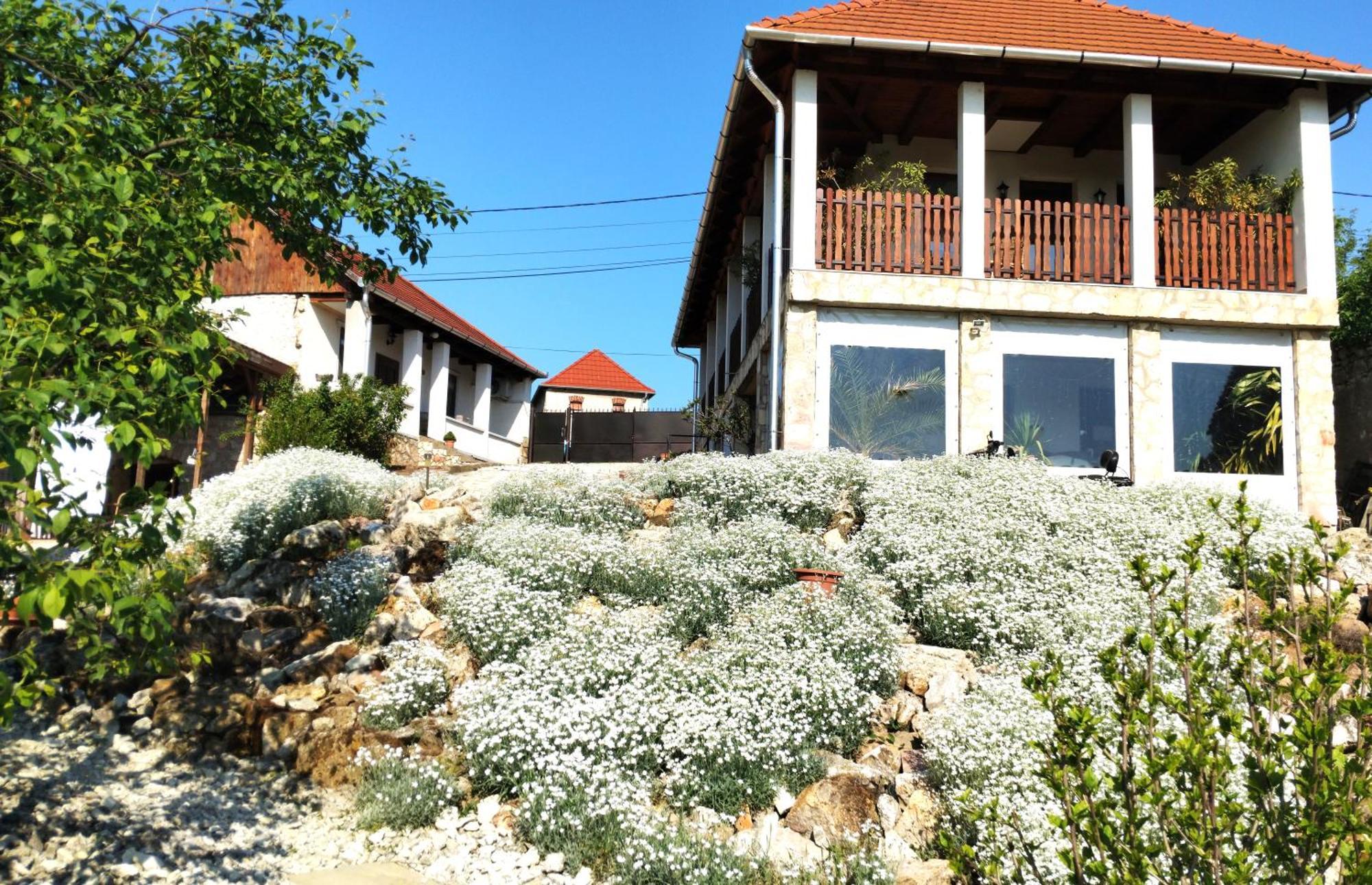 Tokaj Hill Panorama Guesthouse Szerencs Luaran gambar